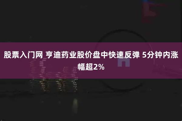 股票入门网 亨迪药业股价盘中快速反弹 5分钟内涨幅超2%