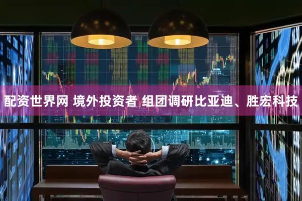 配资世界网 境外投资者 组团调研比亚迪、胜宏科技