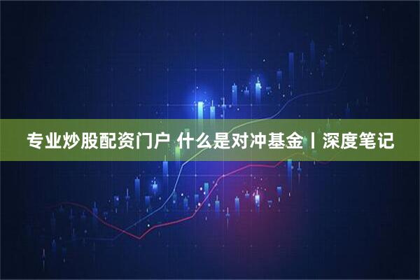 专业炒股配资门户 什么是对冲基金丨深度笔记